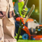lawn-care-business-name-ideas